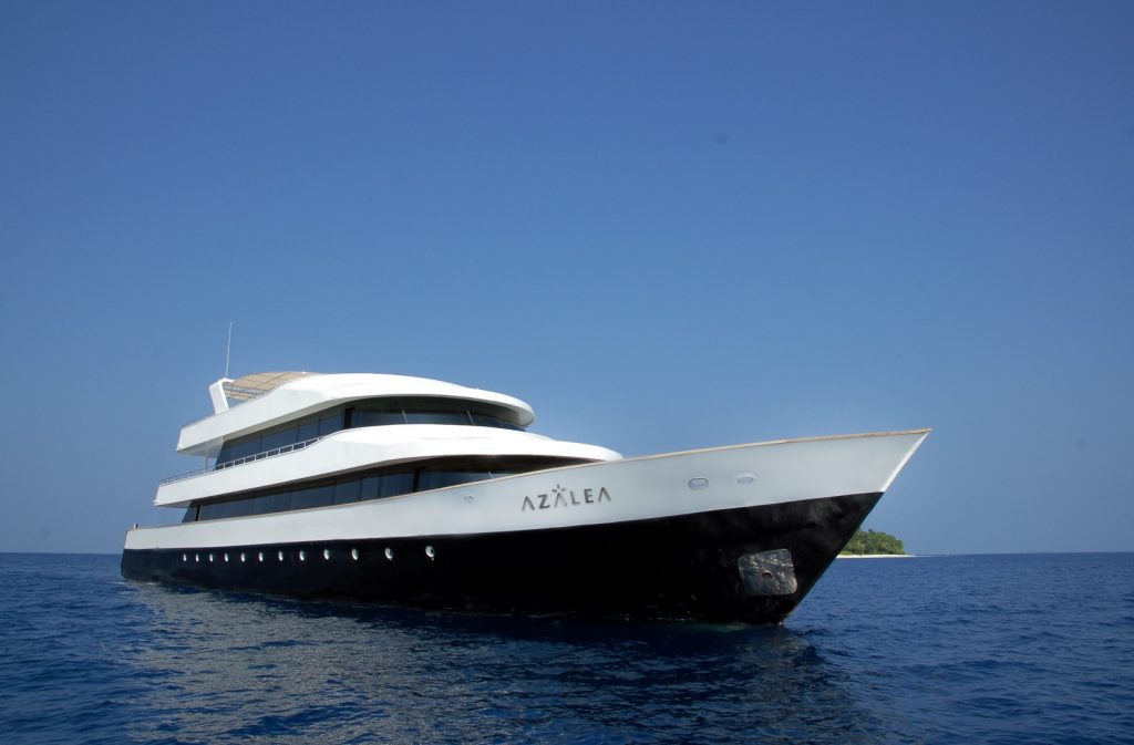 Azalea Cruise (2) (Large)