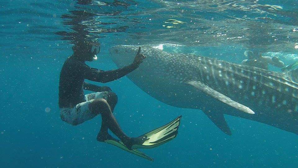 FB_IMG_1479653047002