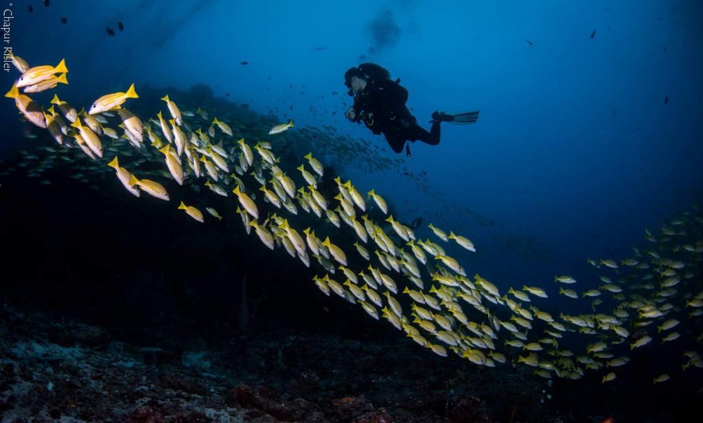 FB_IMG_1479653341702