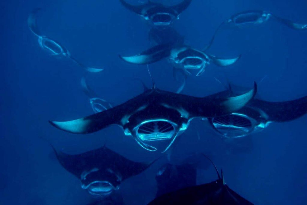 FB_IMG_1479653573335