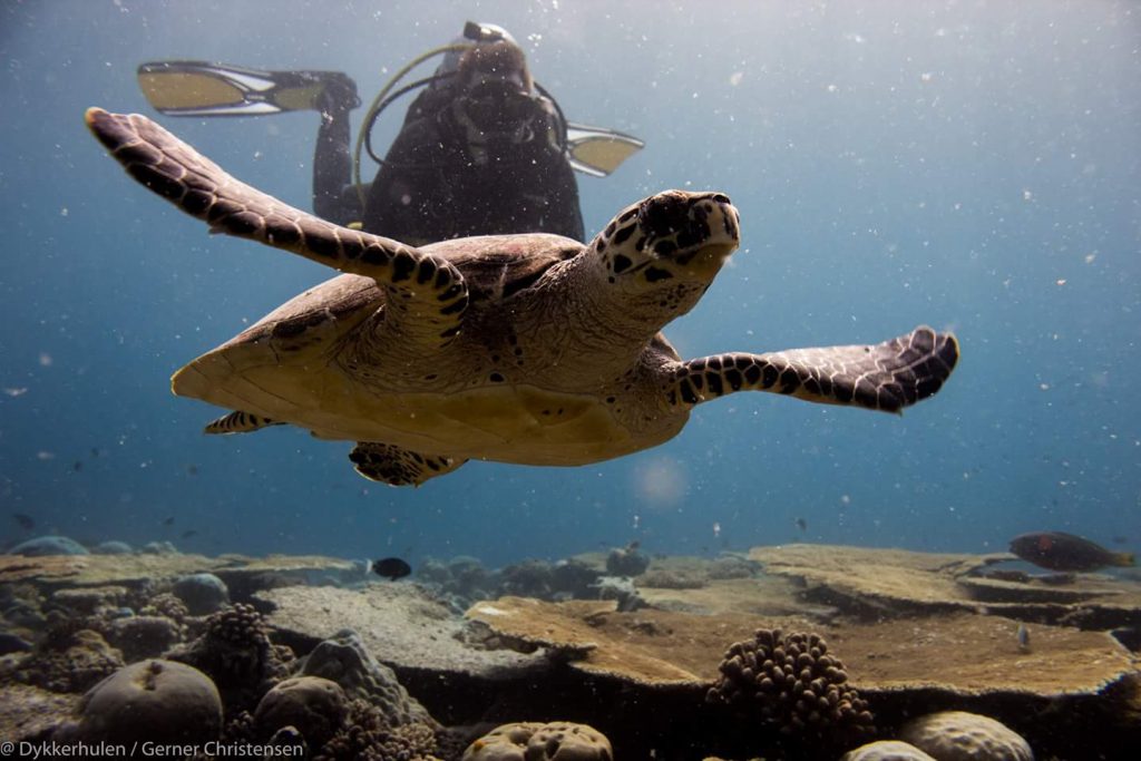 FB_IMG_1479653607259