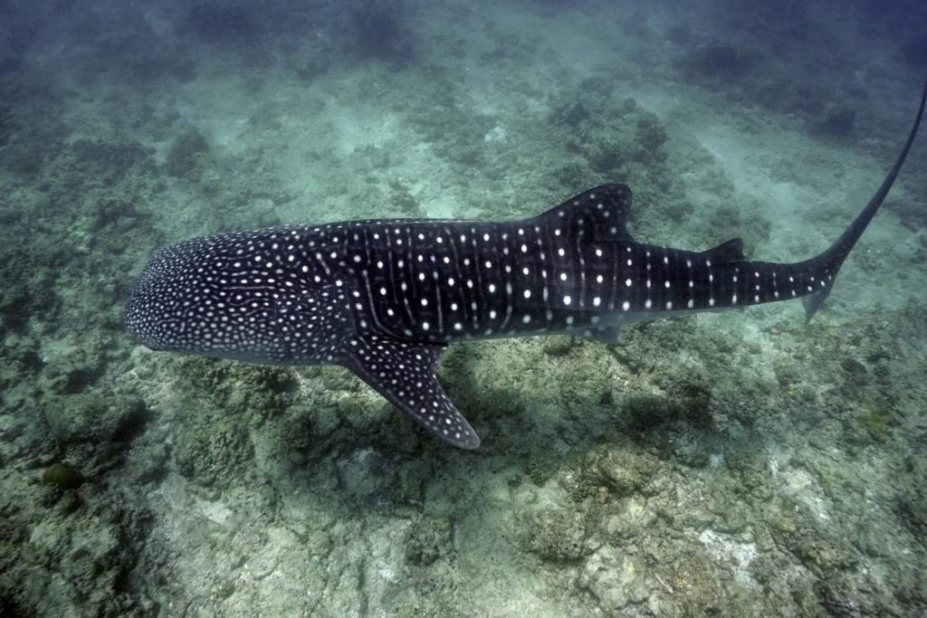 FB_IMG_1479653854931