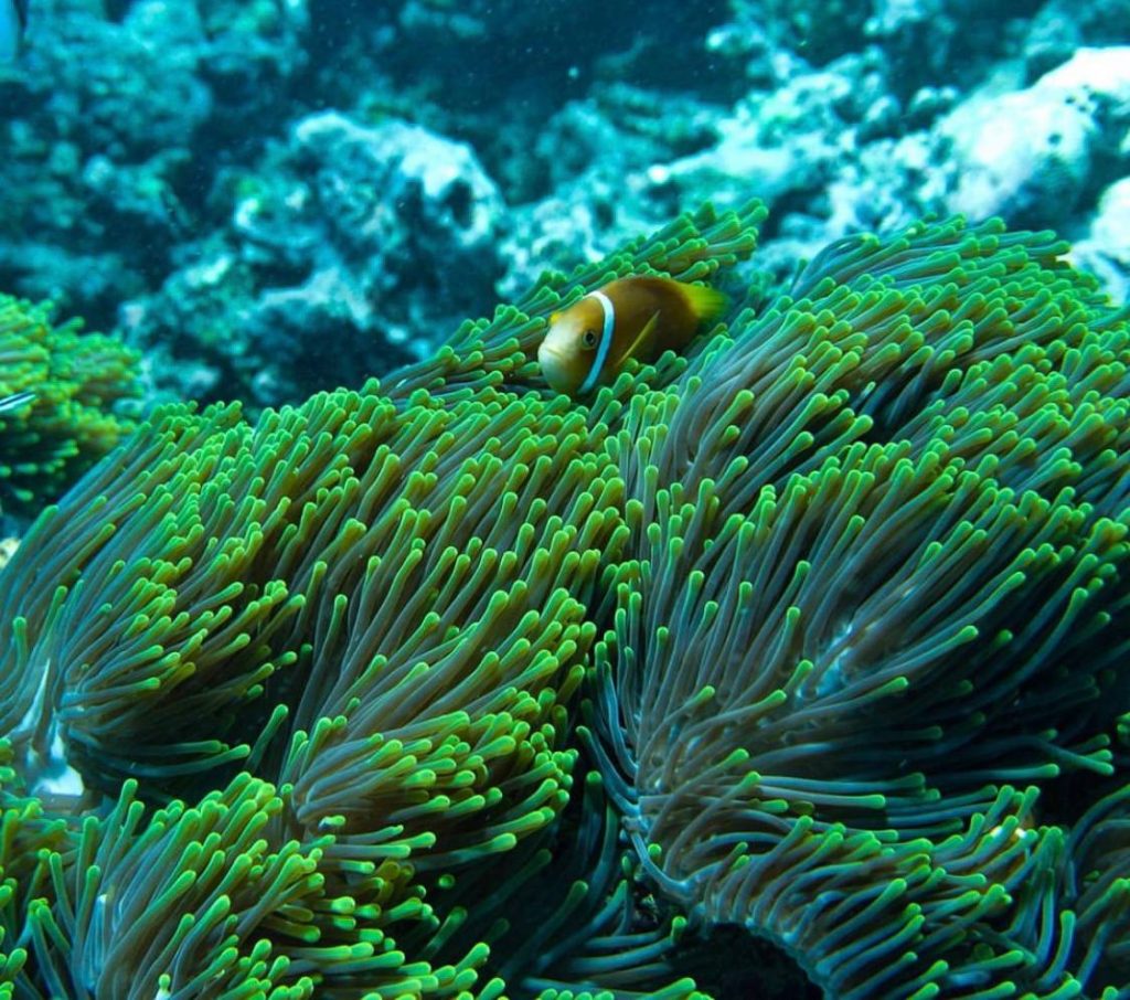 IMG_20211214_190004_388