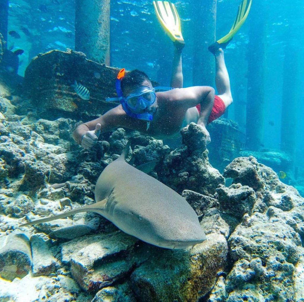 IMG_20211215_114950_816