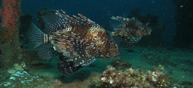 image-0-02-06-901782d58f7ee1baf7d984c24b35240e45374f297f17f8367de565da2376049b-V