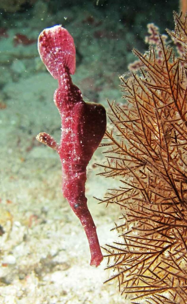 image-0-02-06-cce96257cfcc72b59b9c1aa461fe1a8cec1222451f545193cd38cc9b0b27ac9a-V