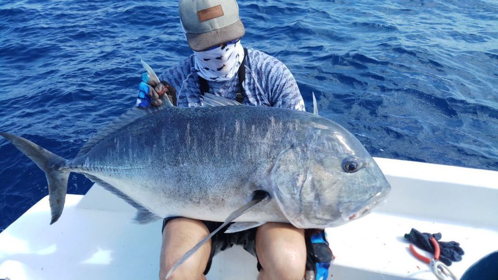 IMG_20211214_190156_737