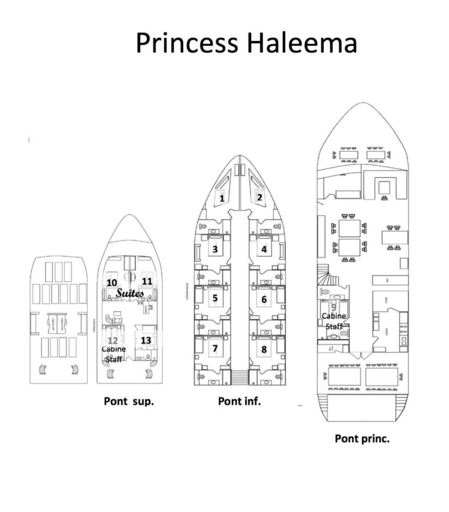 Haleema Map